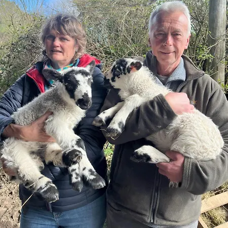 Kents Bank - Pet Friendly With Bay Views Grange-over-Sands