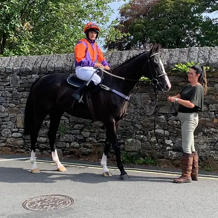 Tatil Evi Kents Bank - Pet Friendly With Bay Views Grange-over-Sands