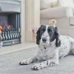 Kents Bank - Pet Friendly With Bay Views 펜션 *
