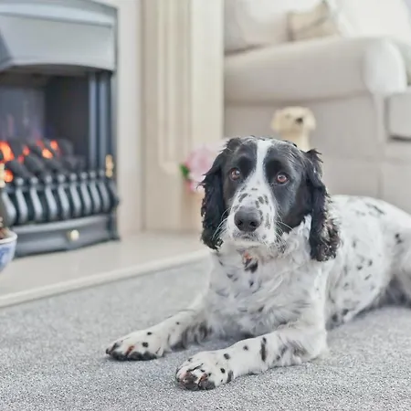 Kents Bank - Pet Friendly With Bay Views Feriehus *