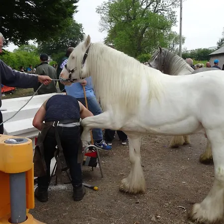 Kents Bank - Pet Friendly With Bay Views Grange-over-Sands