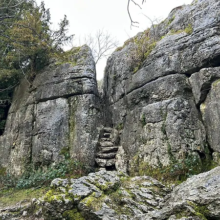 Kents Bank - Pet Friendly With Bay Views * Grange-over-Sands