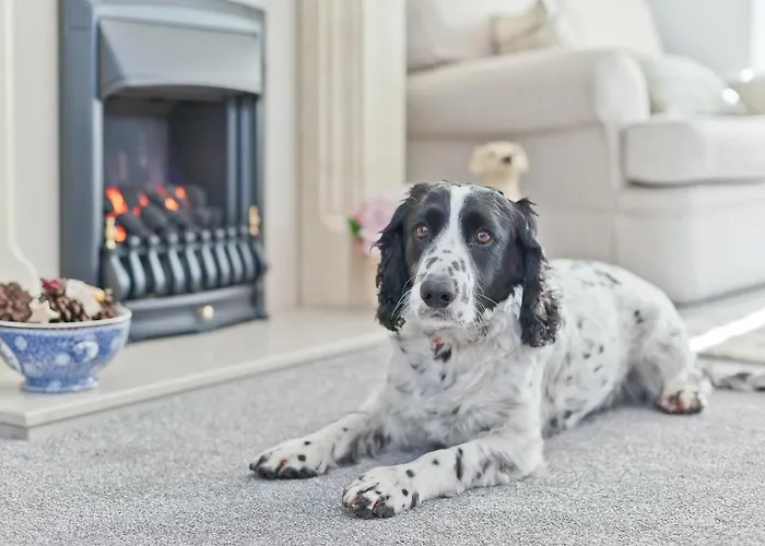 Kents Bank - Pet Friendly With Bay Views Nyaraló *