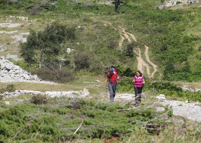 Kents Bank - Pet Friendly With Bay Views