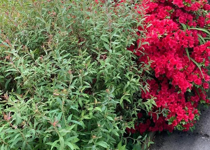 Kents Bank - Pet Friendly With Bay Views *