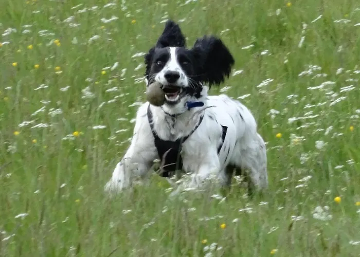 Kents Bank - Pet Friendly With Bay Views Grange-over-Sands