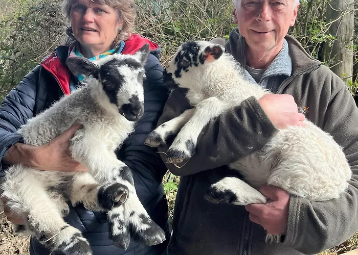 Kents Bank - Pet Friendly With Bay Views Grange-over-Sands