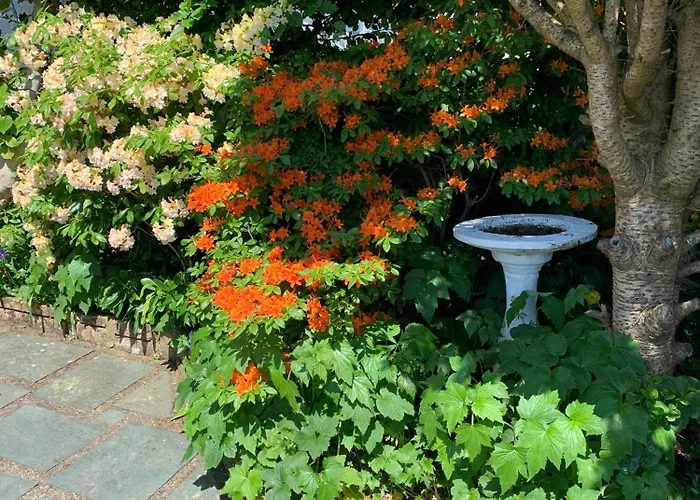 Kents Bank - Pet Friendly With Bay Views * Grange-over-Sands