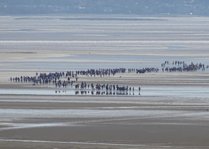 Kents Bank - Pet Friendly With Bay Views *