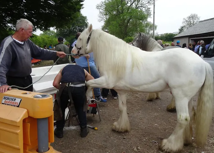 Kents Bank - Pet Friendly With Bay Views Grange-over-Sands