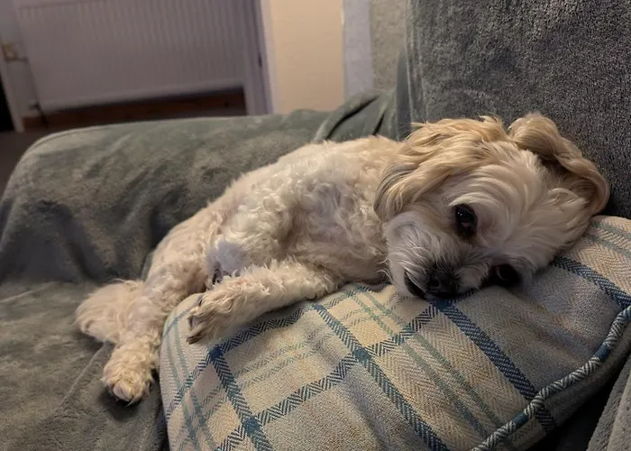 Kents Bank - Pet Friendly With Bay Views *