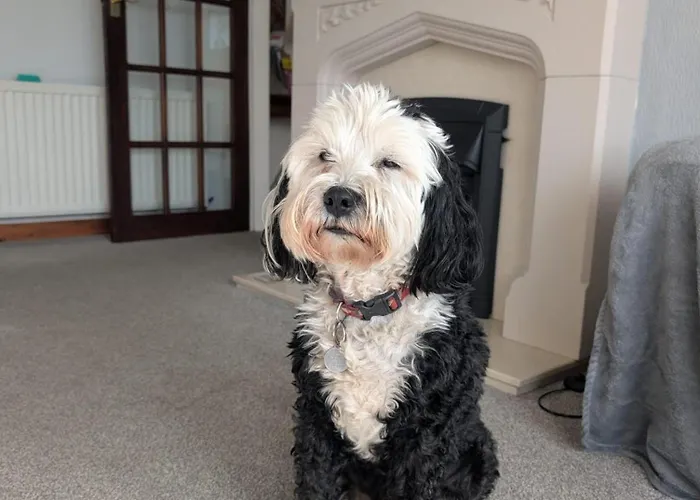 Kents Bank - Pet Friendly With Bay Views Nyaraló *