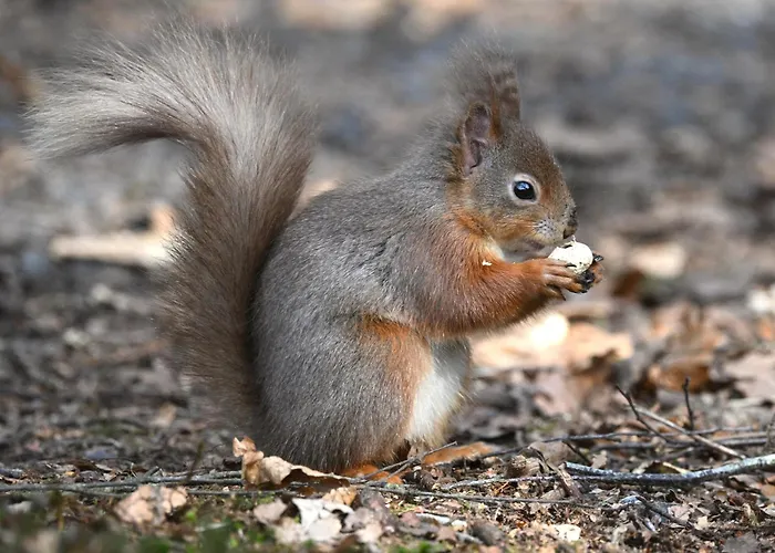 Kents Bank - Pet Friendly With Bay Views *