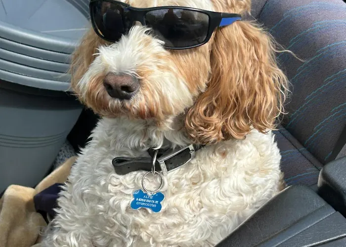 Kents Bank - Pet Friendly With Bay Views Nyaraló Grange-over-Sands