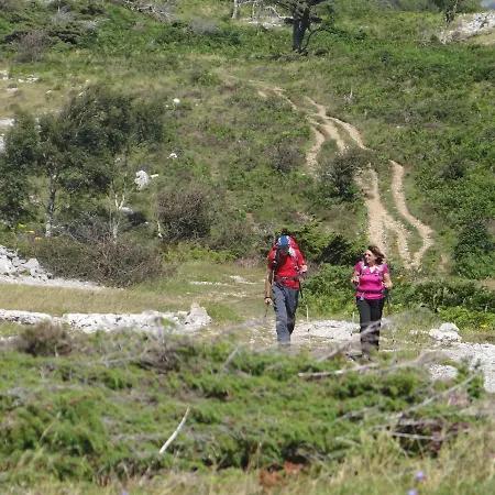 Kents Bank - Pet Friendly With Bay Views