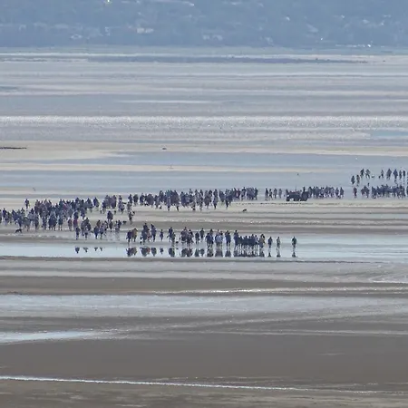 Kents Bank - Pet Friendly With Bay Views *