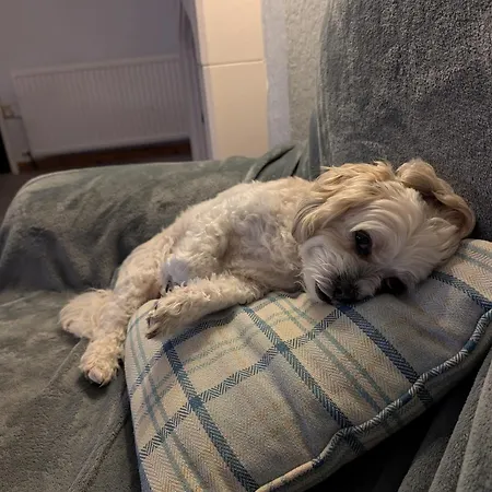 Kents Bank - Pet Friendly With Bay Views *