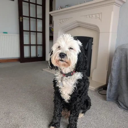 Kents Bank - Pet Friendly With Bay Views Ferienhaus *