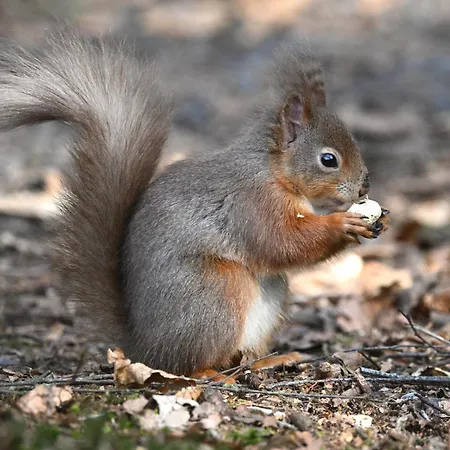 Kents Bank - Pet Friendly With Bay Views *